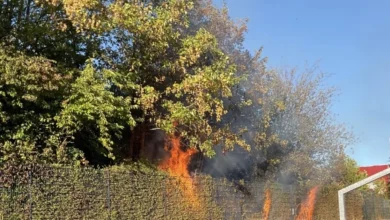 Brand in Gebüsch am Schulzentrum Eppingen schnell gelöscht 4 Brand in Gebüsch am Schulzentrum Eppingen schnell gelöscht