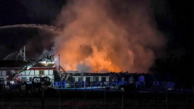 Brand in Tübingen: Reitanlage in Flammen - 47 Pferde gerettet