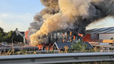 Brand uitgebroken in bedrijfspand, rookwolk trekt over Nederweert