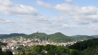 Brand vernichtet bei Eisenach fast die komplette Heu- und Strohernte: Spendenaufruf für das Winterfutter von rund 150 Tieren gestartet 5 Brand vernichtet bei Eisenach fast die komplette Heu- und Strohernte: Spendenaufruf für das Winterfutter von rund