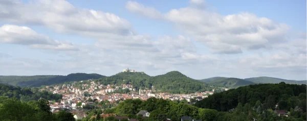 Brand vernichtet bei Eisenach fast die komplette Heu- und Strohernte: Spendenaufruf für das Winterfutter von rund