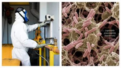 Bronx Legionnaires’ Outbreak Prompts NYC Order to Clean and Disinfect 10 Cooling Towers 4 Bronx Legionnaires Outbreak