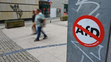 Bundeskanzler Merz: AfD-Verbot löst das Problem nicht
