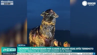 Cachorro é homenageado por ajudar a salvar vidas após terremoto