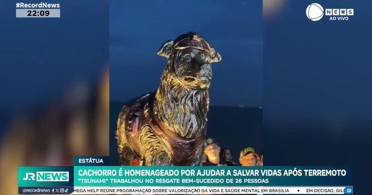 Cachorro é homenageado por ajudar a salvar vidas após terremoto 1 Cachorro é homenageado por ajudar a salvar vidas após terremoto