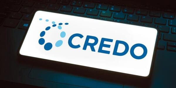 Credo Shares Slump