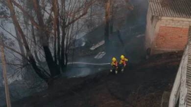 Cuatro incendios forestales permanecen activos en Ecuador: otros cuatro están controlados