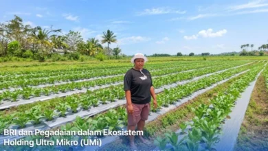Dari Gadai Emas hingga KUR Mikro, Holding Ultra Mikro Bawa Mur Dwi Astuti Sukses Jadi Petani di