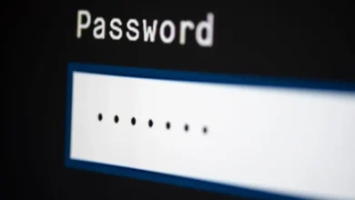 Datenklau in Berlin: Erpresser veröffentlichen sensible Daten