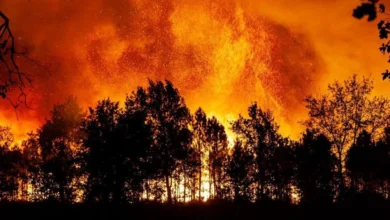 Devant le manque de moyens et d'effectifs lors des incendies 4 Devant le manque de moyens et d'effectifs lors des incendies