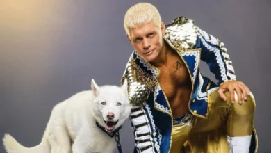 His Dog Pharaoh Has Died Announced by WWE Superstar Cody Rhodes 6 Dog Pharaoh Has