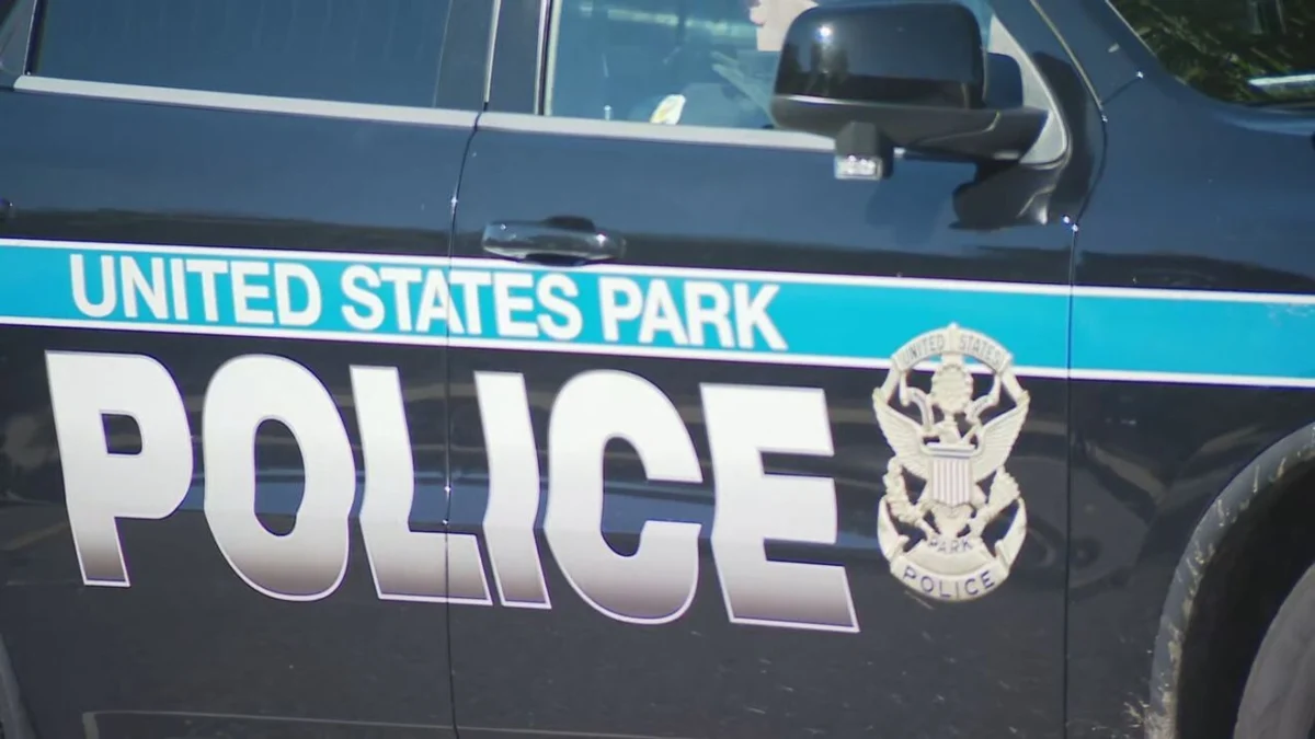 Driver arrested 3-vehicle