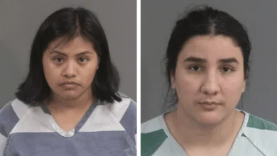 Driver, child's guardian arrested after 2-year-old killed in hit-and-run 4 Driver child's guardian