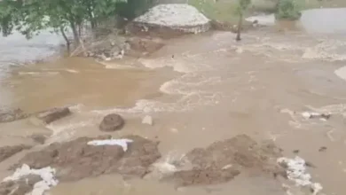 ओडिशा: बैतरणी नदी की 9वीं बाढ़ का कहर, कानी नदी का बांध टूटने से कई पंचायतें जलमग्न 5 ओडिशा: बैतरणी नदी की 9वीं बाढ़ का कहर, कानी नदी का बांध टूटने से कई पंचायतें जलमग्न