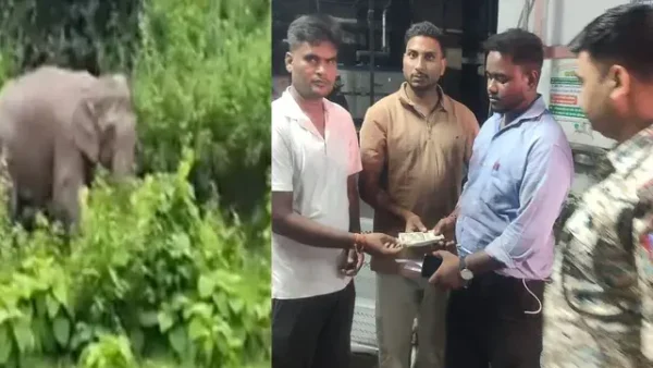 गिरिडीह में हाथी का तांडव: दंपती पर हमला, पति की मौत और पत्नी गंभीर 1 गिरिडीह में हाथी का तांडव: दंपती पर हमला, पति की मौत और पत्नी गंभीर