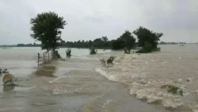 नेपाल में भारी बारिश से गंडक उफनाई, बिहार में बाढ़ का खतरा बढ़ा; पश्चिम चंपारण में दो तटबंध क्षतिग्रस्त - nepal