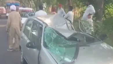 बठिंडा में हादसा: कार पर अचानक गिरा पेड़, महिला की मौत, पति-पोती घायल; नथाना-भगता रोड पर हादसा