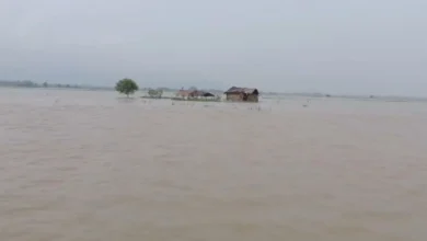 साहिबगंज के शहरी इलाकों में घुसा बाढ़ का पानी, नाव और डिब्बे की मदद से स्कूल जाते बच्चे