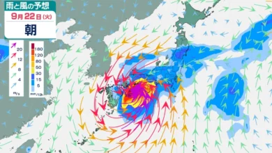 【台風シミュレーション】21日（月・祝）〜22日（火・祝）に本州接近のおそれ シルバーウィーク直撃か…16日午後に「台風」発生へ