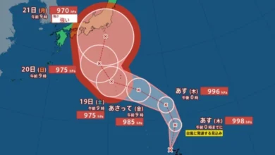 【台風情報】マリアナ諸島の熱帯低気圧 “熱帯低気圧” 台風に発達へ 21日（月）には970hPaの “強い勢力” で小笠原近海、日本の南へ【雨と風のシミュレーション】