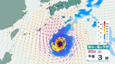 【台風情報】台風のたまご「熱帯低気圧a」24時間以内に台風に発達見込み 最大瞬間風速55m/s
