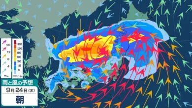 【台風情報】最大瞬間風速50m/s「強い勢力」に発達か 台風がシルバーウィーク直撃の可能性 “台風のたまご”「熱帯低気圧a」発生 その後ろにも“あやしい渦”が 日本への影響は？ 雨風シミュレーション