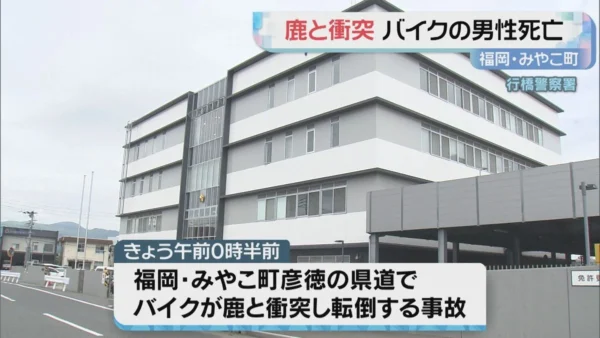 みやこ町でバイクが鹿と衝突・転倒 男性死亡(2026年9月9日掲載)|FBS NEWS NNN 1 みやこ町でバイクが鹿と衝突・転倒 男性死亡(2026年9月9日掲載)|FBS NEWS NNN