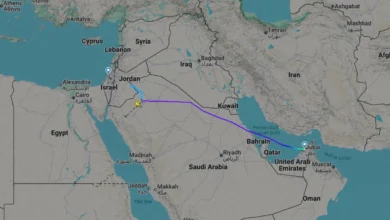 イスラエル国防相「墜落させるテロ未遂」 航空機が緊急着陸