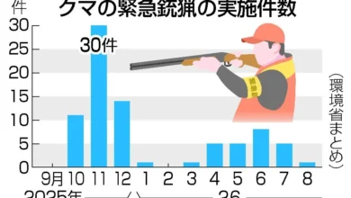 クマ緊急銃猟、１４道県で８１件 開始１年、安全確保に時間も