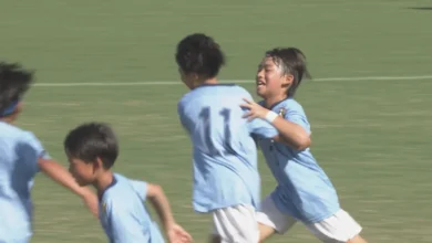 小学生サッカー四国一競う フジパンCUP 愛媛「FC reverse Jr」準優勝（2026年9月14日掲載）｜南海放送NEWS NNN