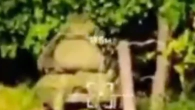 映像には、ウクライナの無人機が最前線でロシアのS-300およびブークミサイルシステムを攻撃する様子が映っている。