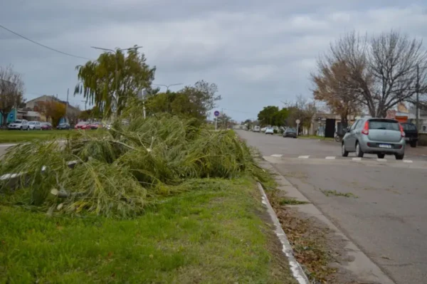 El pronóstico para este domingo 20 en Viedma presenta alerta amarilla y fuertes vientos