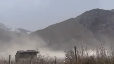 El tiempo en Mendoza este domingo: alerta por Zonda, vientos intensos, nevadas y hasta tormentas