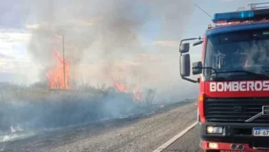 El Zonda y sus consecuencias: incendio en campos de Lavalle