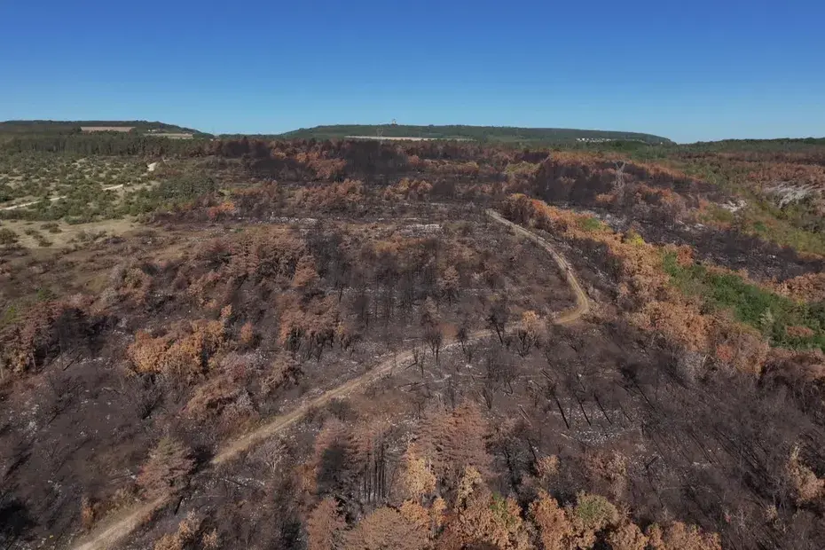 EN IMAGES. En Bourgogne, les hauteurs de Couchey méconnaissables, deux mois après un incendie dévastateur de 150 hectares