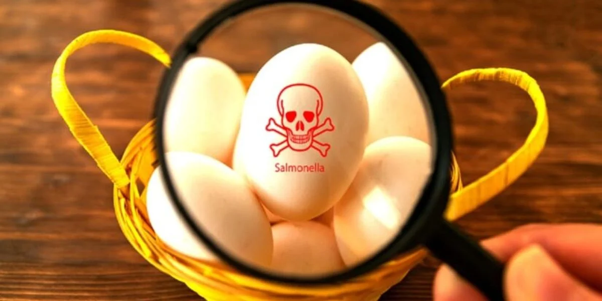 Expired eggs used