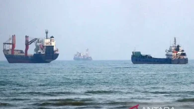 FAO: Terlalu dini memprediksi pemulihan pasokan via Selat Hormuz