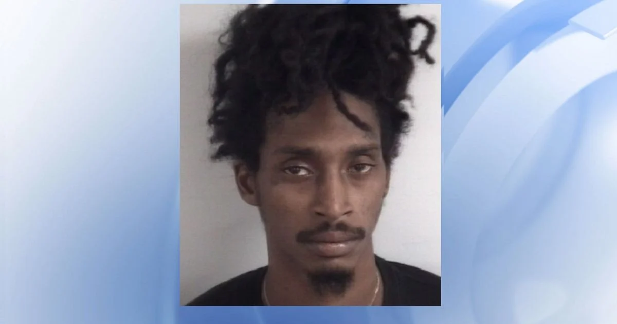 Fayetteville man arrested after home robbery while impersonating police 1 Fayetteville man arrested
