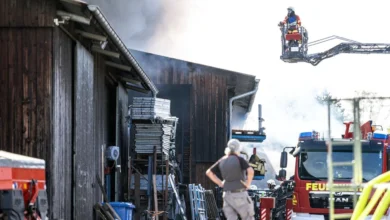 Feuer auf Hof in Grosselfingen: 600 Hühner und Gänse tot - Schaden in Millionenhöhe