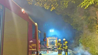 Feuer in Böschungs-Bewuchs: Nächtlicher Brand am Straßenrand bei Riedelberg