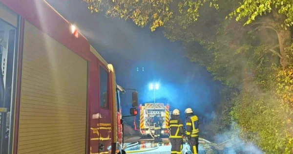 Feuer in Böschungs-Bewuchs: Nächtlicher Brand am Straßenrand bei Riedelberg