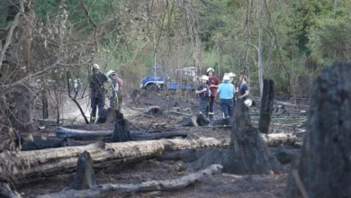 Feuerwehreinsatz: Über 100 Kräfte kämpfen gegen Waldbrand - zwei Verletzte 4 Feuerwehreinsatz: Über 100 Kräfte kämpfen gegen Waldbrand - zwei Verletzte