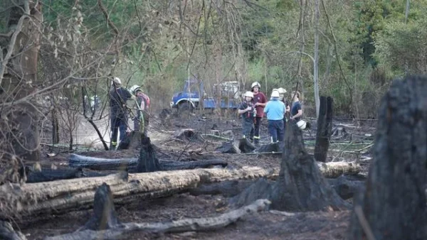 Feuerwehreinsatz: Über 100 Kräfte kämpfen gegen Waldbrand - zwei Verletzte 1 Feuerwehreinsatz: Über 100 Kräfte kämpfen gegen Waldbrand - zwei Verletzte