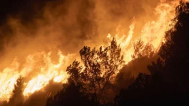 Feux de forêt : dix départements en vigilance orange, un autre en alerte maximale