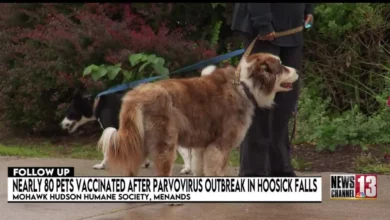 Free clinic Hoosick