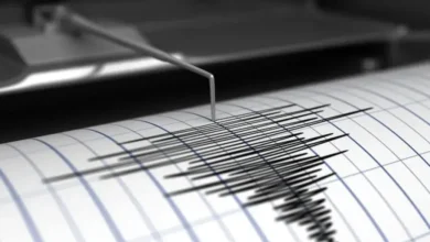 Fuerte sismo de magnitud 5 sacudió el norte argentino y se sintió en Santiago