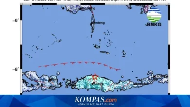 Gempa M 5,1 Guncang Manggarai Timur, Terasa di Sejumlah Daerah 7 Gempa M 5,1 Guncang Manggarai Timur, Terasa di Sejumlah Daerah