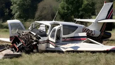 Georgia’da küçük uçak kazası: Pilot hayatını kaybetti