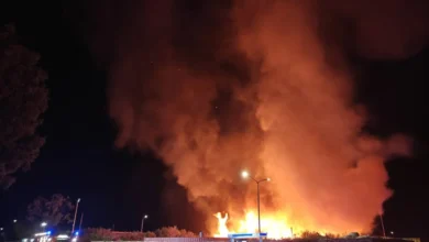 Grote brand bij industriebedrijf, ook Duitse brandweer opgeroepen