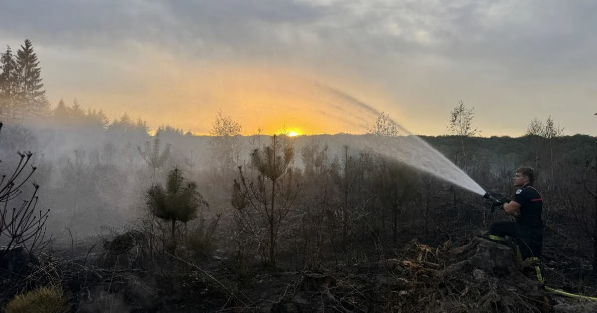 Haute-Saône. Incendie d’une coupe de bois à Confracourt : une opération de noyage complexe pour les pompiers 1 Haute-Saône. Incendie d’une coupe de bois à Confracourt : une opération de noyage complexe pour les pompiers